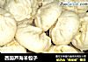 西葫芦海米包子的做法