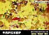 牛肉萨拉米披萨的做法