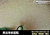 蒸出来的蛋糕的做法