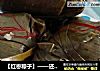 【红枣粽子】——还是那熟悉的味道的做法