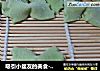 吸引小盆友的美食--翡翠蝴蝶面＆螺旋面的做法