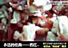 永远的经典——西红柿炒鸡蛋的做法