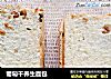 葡萄干养生面包的做法
