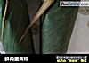 鲜肉蛋黄粽的做法