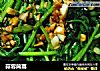 蒜蓉茼蒿的做法