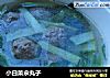 小白菜汆丸子的做法