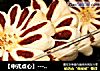 【中式点心】----------豆沙酥的做法