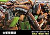 大葱爆黄鳝的做法