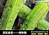 深夜食堂——烤秋葵的做法