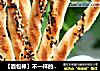 【面包棒】不一样的感觉的做法