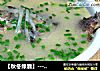 【秋冬绿盾】---《蒜香萝卜鲫鱼汤》的做法