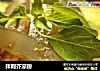 拌荆芥凉粉的做法