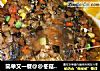 简单又一餐@@冬菇焖鱼的做法