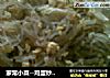 家常小菜--鸡蛋炒粉条的做法