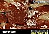 蜜汁八宝饭的做法