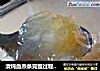 清炖血燕条完整过程详解的做法