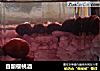 自酿樱桃酒的做法