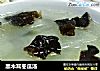 黑木耳冬瓜汤的做法