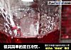 极其简单的夏日冷饮      洛神花红酒汁的做法