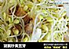 猪腩炒黄豆芽的做法