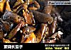 素烧长茄子的做法