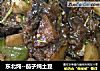 东北炖--茄子炖土豆的做法