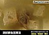清鲜鲫鱼豆腐汤的做法