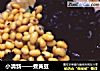 小清新——煮黄豆的做法