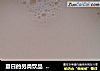 夏日的另类饮品    豆浆的做法