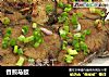 香煎马鲛的做法