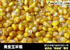 黄金玉米烙的做法