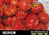 桂花炒红果的做法