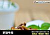 罗勒牛肉的做法