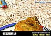 椒盐糍粑块的做法